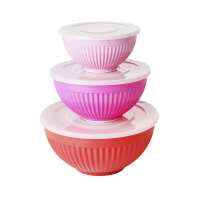 Melamine stacking storage bowls set of 3 Happy 21st Colours Rice DK